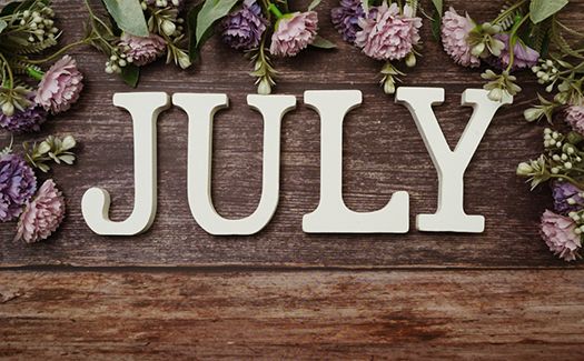 July's Summary Data and Notable Observations
